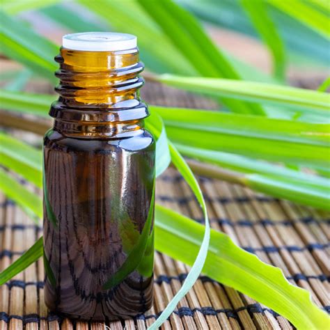 Citronellal, Premium Therapeutic Grade, 100% Pure and Natural, Perfect ... 