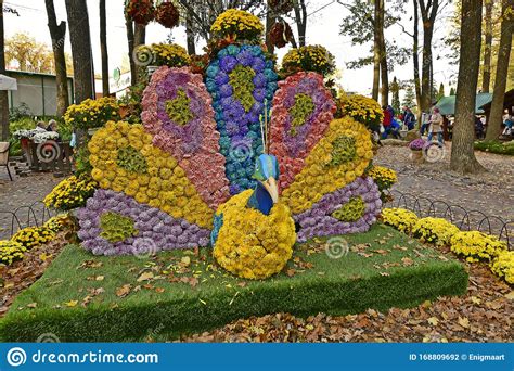 Het Herfstblad Is De Prachtige Valkleuren Van De Natuur Jaarlijks