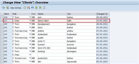 What Is Sap Client And How To Create Sap Client