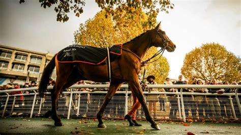 Quint Pmu Du Jeudi Ao T Pronostic Gratuit