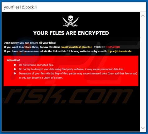 Ransomware TCYO Desencriptado eliminación y recuperación de archivos