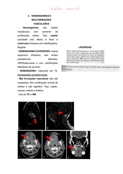 Solution Resumo De Imaginologia Patologias De Cabe A E Pesco O Studypool