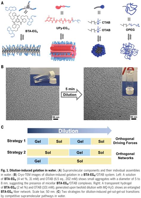 Dilution Induced Gel Sol Gel Sol Transition Of Competing Supramolecular