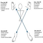 Print Matching Pairs Patrones Fnp Miembro Inferior Fnp Miembro