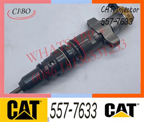 Common Rail Injector 5577633 C9 E330d 330d Engine Parts Fuel Injector