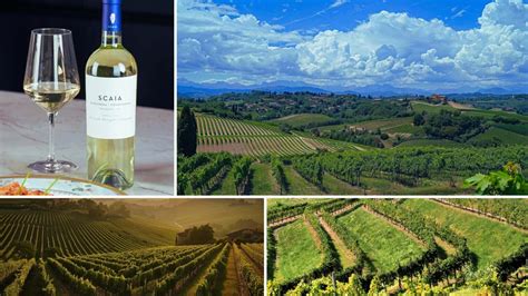 Friuli Venezia Giulia Wine Region And Their Best Wines Italian