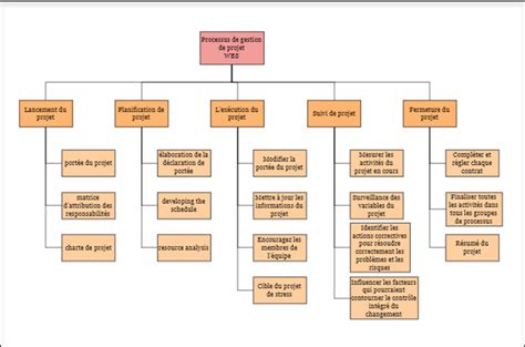 Explication Et Exemples Sur La Structure De R Partition Du Travail Wbs