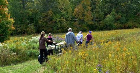 Green Burial Eco Friendly Funeral Millennial Trends