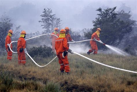 Chile Informa De Que Hay 52 Incendios Forestales Activos En El País