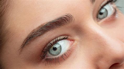 Descubre Cuál Es La Forma Ideal De Cejas Según La Forma De Tu Rostro