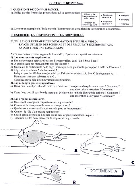 Exercice Svt 5eme ~ Aide Aux Devoir