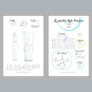 Carte des Méridiens le Mémo livre de Médecine Chinoise