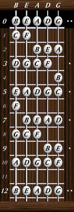 5 String Bass Fretboard Diagram