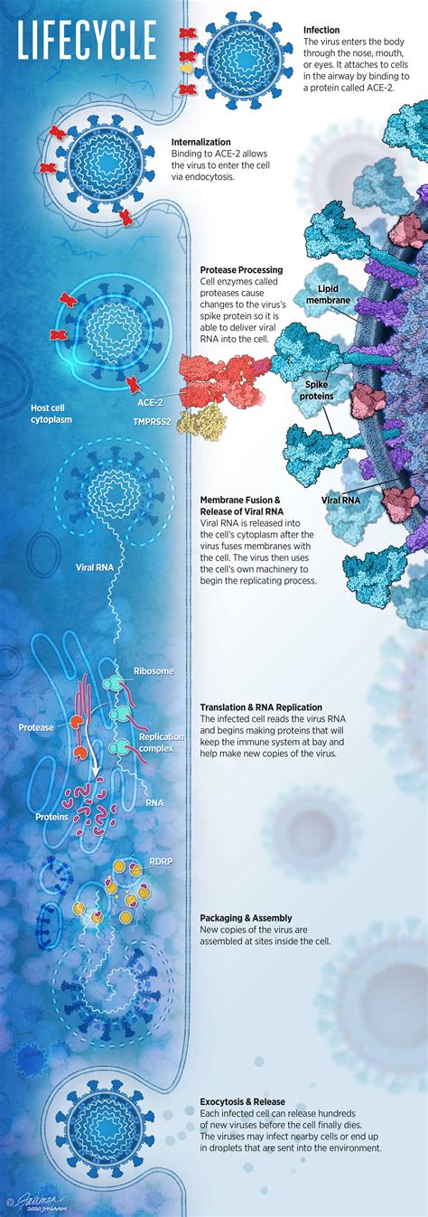 Science vs. Virus | Hopkins Bloomberg Public Health Magazine