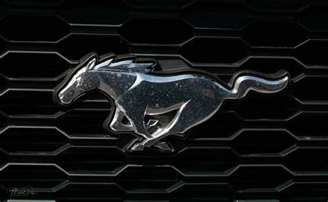 3D Mustang Running Horse Emblem Premium | ubicaciondepersonas.cdmx.gob.mx