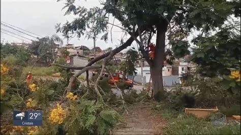 Chuva derruba árvores e alaga ruas em Varginha e Poços de Caldas MG