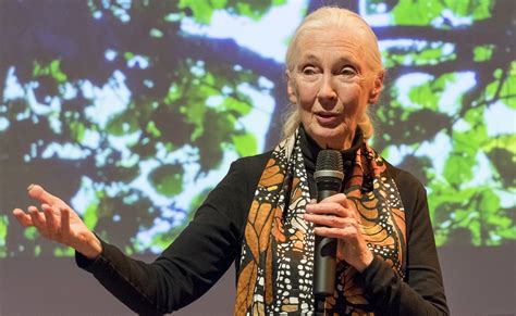 14 Mai 2018 Jane Goodall Live In Wien Vielfalt Im Einklang Jane