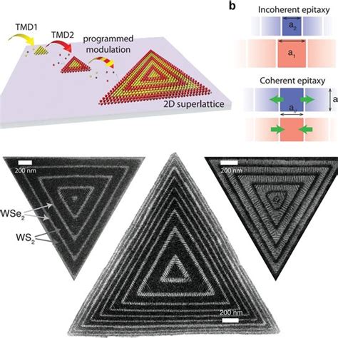 Schematic Showing Two Types Of Heterostructures Based On 2D Materials