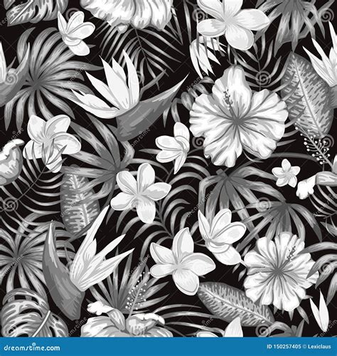 Vector Seamless Pattern Of Monochrome Tropical Leaves Stock Vector Illustration Of Ornament