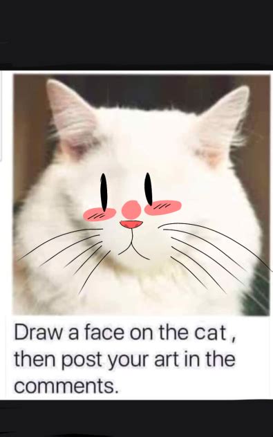 Cat Ibispaint