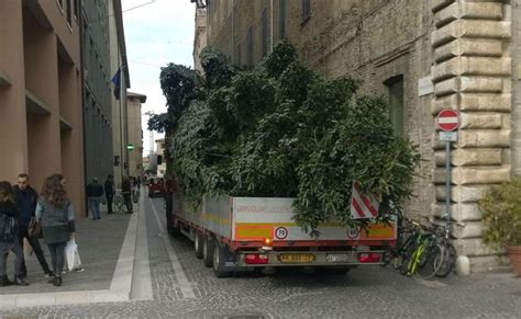 Pesaro Lalbero Di Natale Gi In Piazza