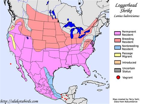 Loggerhead Shrike - Species Range Map