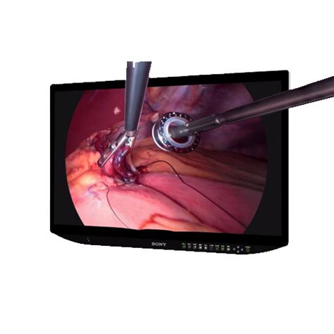 Sony LMD XH320MT LMDXH320MT 32 4K 3D 2D Surgical Display Hiliex