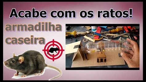 ARMADILHA RATOEIRA CASEIRA Elimine Os Ratos Da Sua Casa YouTube