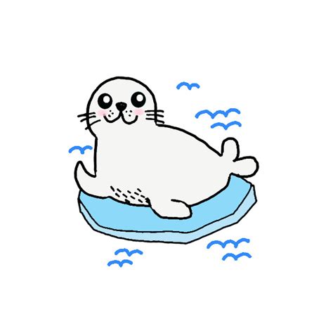 Cute Seal Drawing