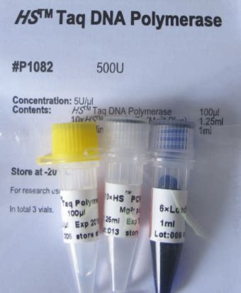 Hs Taq Dna Polymerase U