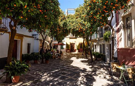 Santa Cruz El Barrio De Sevilla Que Condensa Más Historia Y Belleza