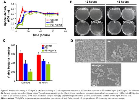 Polyethyleneimine Capped Silver Nanoclusters For Microrna Oligonucleot Ijn