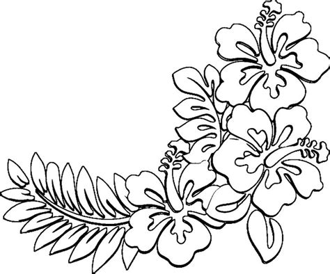 Hawaiian Flower Coloring Page Hibiscus Rosa sinensis | Educative Printable | Flower coloring ...