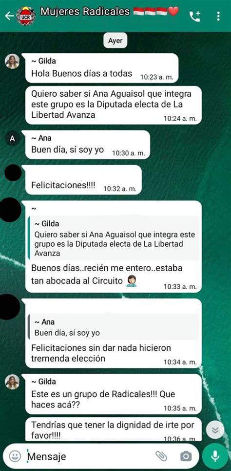 Insólito Chat De Mujeres Radicales Se Dieron Con Una Libertaria “infiltrada” En El Grupo De