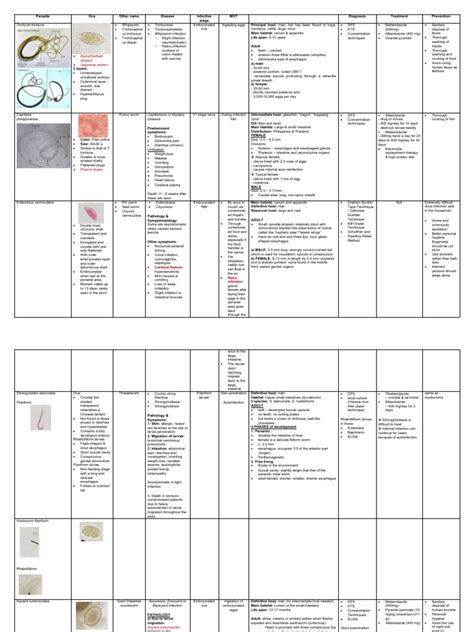 Lab Practicals Reviewer Prelims Pdf Medical Specialties