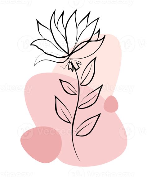 decoração de flores png fundo transparente para impressão em