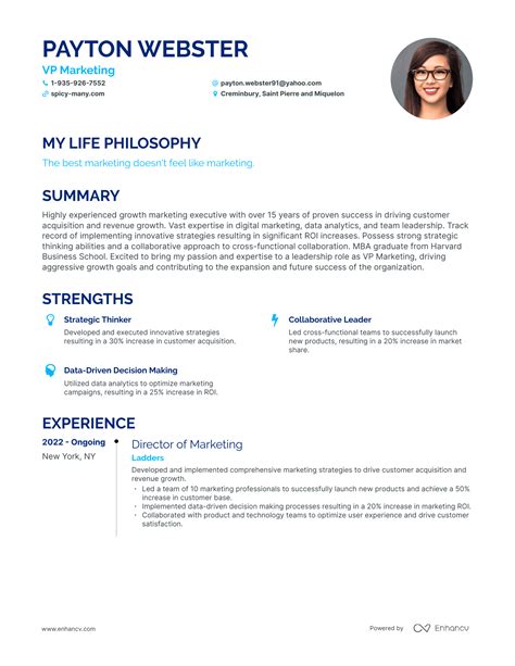 Successful Vp Marketing Resume Examples And Writing Tips For