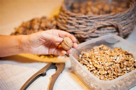 Estos Son Algunos Beneficios De Consumir Frutos Secos