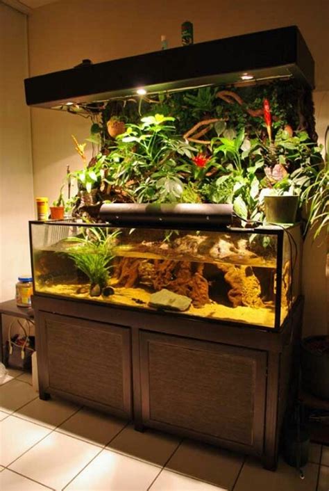 A Rather Cool Looking Tank Biotope Aquarium Aquascape Aquarium