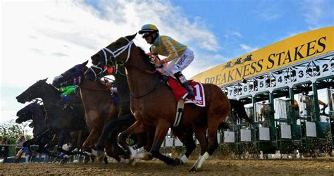 ESPN Picks For Preakness 2022 Preakness Expert Picks