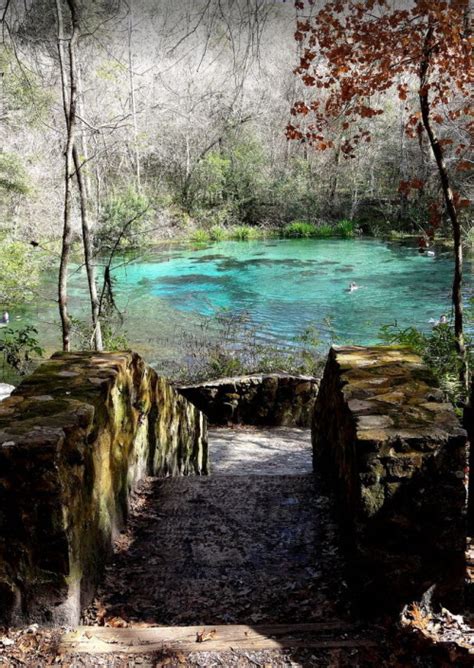 Ichetucknee Springs State Park Florida Usa By Its A Beautiful