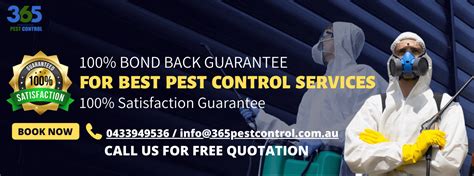 Top 10 Pest Control Agencies In Toorak