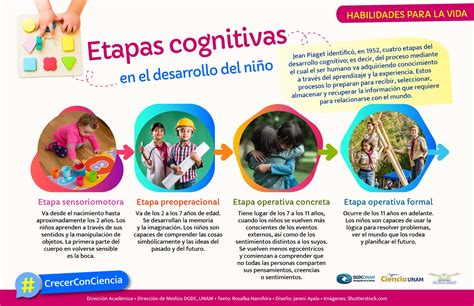 Etapas Del Desarrollo Cognitivo De Jean Piaget Xili Images Rainy