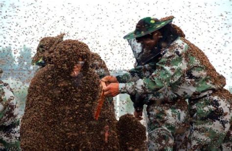 Man Sets New World Record For Being Covered In Bees
