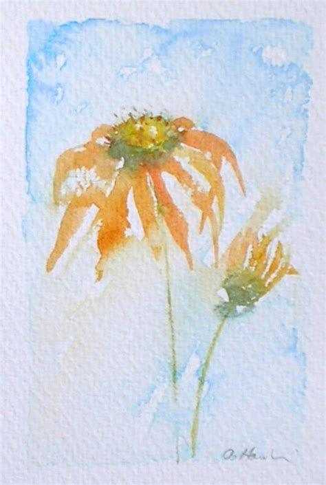 Watercolour Painting Echinacea Original Art By Artist Amanda Etsy