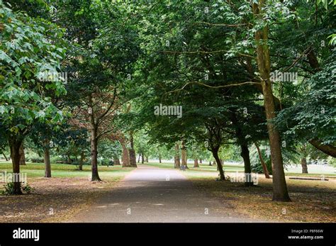 Haringey Park Fotos Und Bildmaterial In Hoher Auflösung Alamy