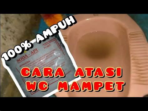 Cara Mengatasi Wc Mampet Di Jamin Berhasil Tanpa Sedot