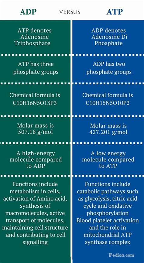 Difference Between Polar And Nonpolar Molecules Definition Formation