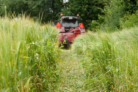 Traktor K Rer P En Mark Stock Foto Colourbox