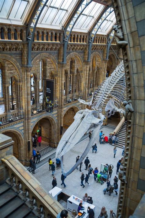 Museo Storico Nazionale Di Londra Inghilterra Vista Di Uno Scheletro